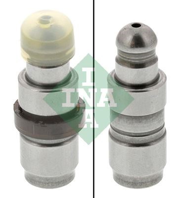 BMW E90 F10 F20 F30 G30 F40 F45 F46 F32 F33 F34 F36 G22 G32 F01 G11 E84 F48... INA