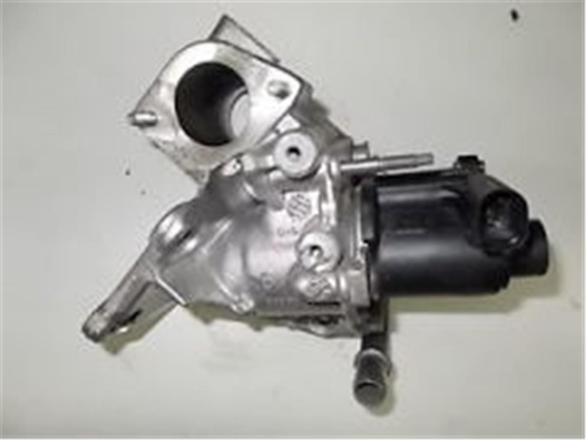 Egr Valfi Mgn Iıı-Fluence-Duster-Clıo Iv