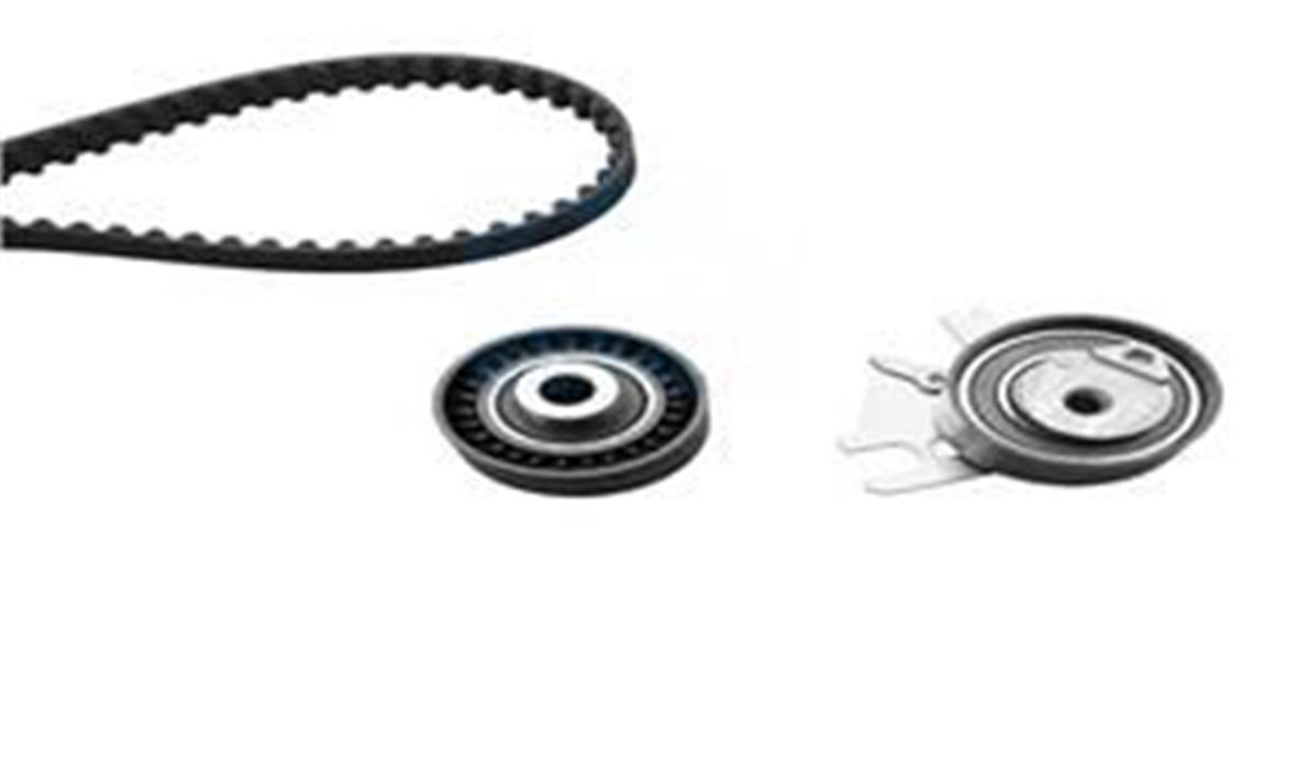 Eksantrik Gergi Kiti 116X254 Peugeot 307-308-407-508-Expert-C4-C5-Jumpy-Scudo-Fo