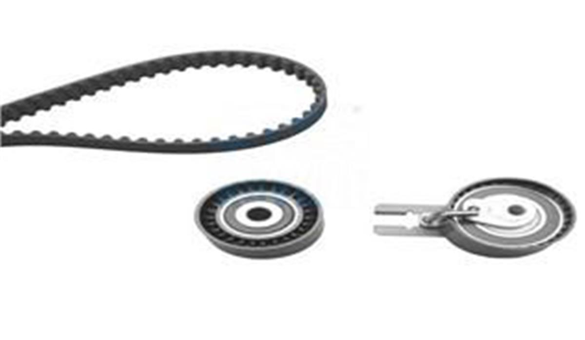 Eksantrik Gergi Kiti 135X254 C3 1.4 Hdı 16V 02- Dv4ted4