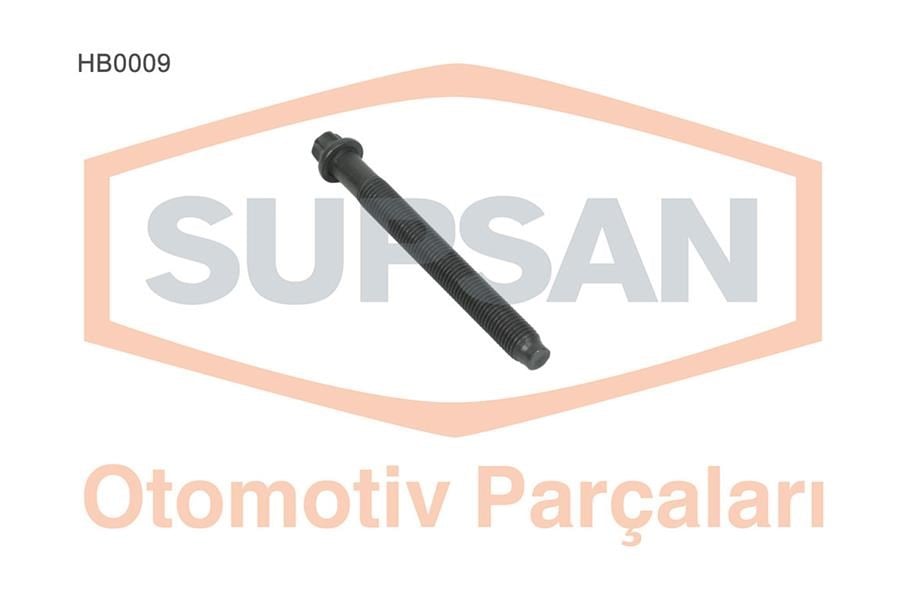 Renault Express Clio Laguna Megane 1.9 D 1.8 2.0 Silindir Kapak Saplaması SUPSAN