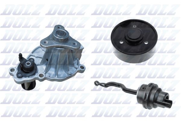 BMW B46 Devirdaim Pompası Set DOLZ