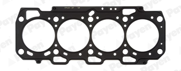 Fiat Silindir Kapak Contası PAYEN