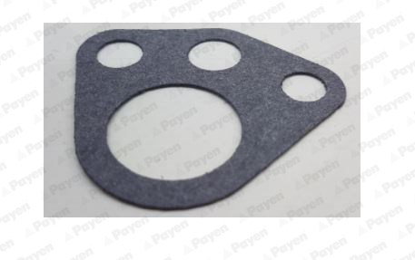 Fiat PKW Keçe PAYEN