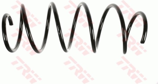 Fiat Idea Ön Aks Süspansiyon Yayı TRW