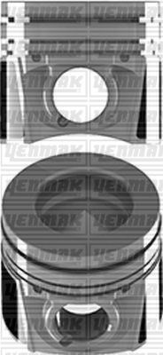 Ford Fiesta Peugeot 207 208 2008 206 Citroen DS3 C3 1.4 TDCi Piston Segman STD YENMAK