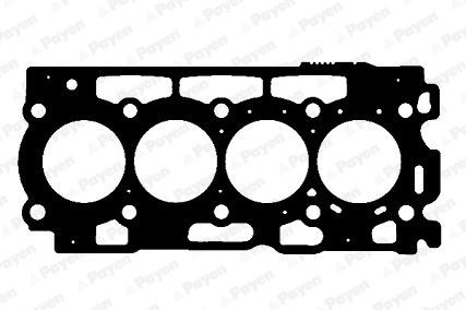 Ford Fiesta Focus Fusion Peugeot Citroen Volvo S40 S80 V50 V70 1.6 TDCi HDI... PAYEN