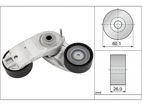 Ford Fiesta Kayış Gergi Komple Kütüklü INA
