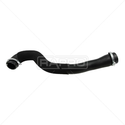 Ford Focus 3 Turbo Hortumu RAPRO