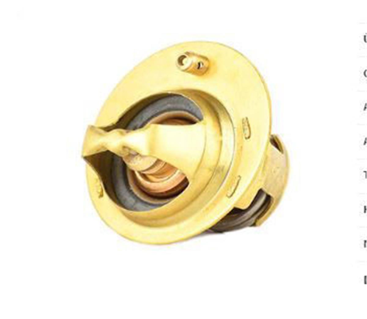 Ford Fiesta Focus Termostat Bsg (74 Cc, 95-04) 96Mm8575b1a