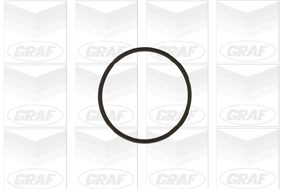 Volkswagen Devirdaim GRAF