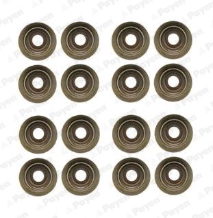 Ford Peugeot Citroen Fiat Volvo Subap Lastiği 2.0 TDCİ DW10 16 Adet PAYEN