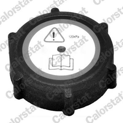 Ford Transit Mondeo Radyatör Ek Su Depo Kapağı 1997-2006 VERNET