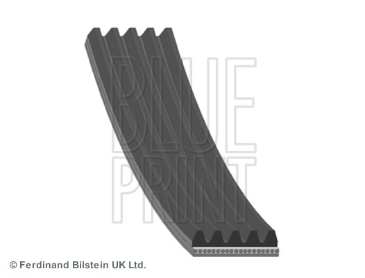 Land Rover Freelander 1 V Kayışı BLUEPRINT