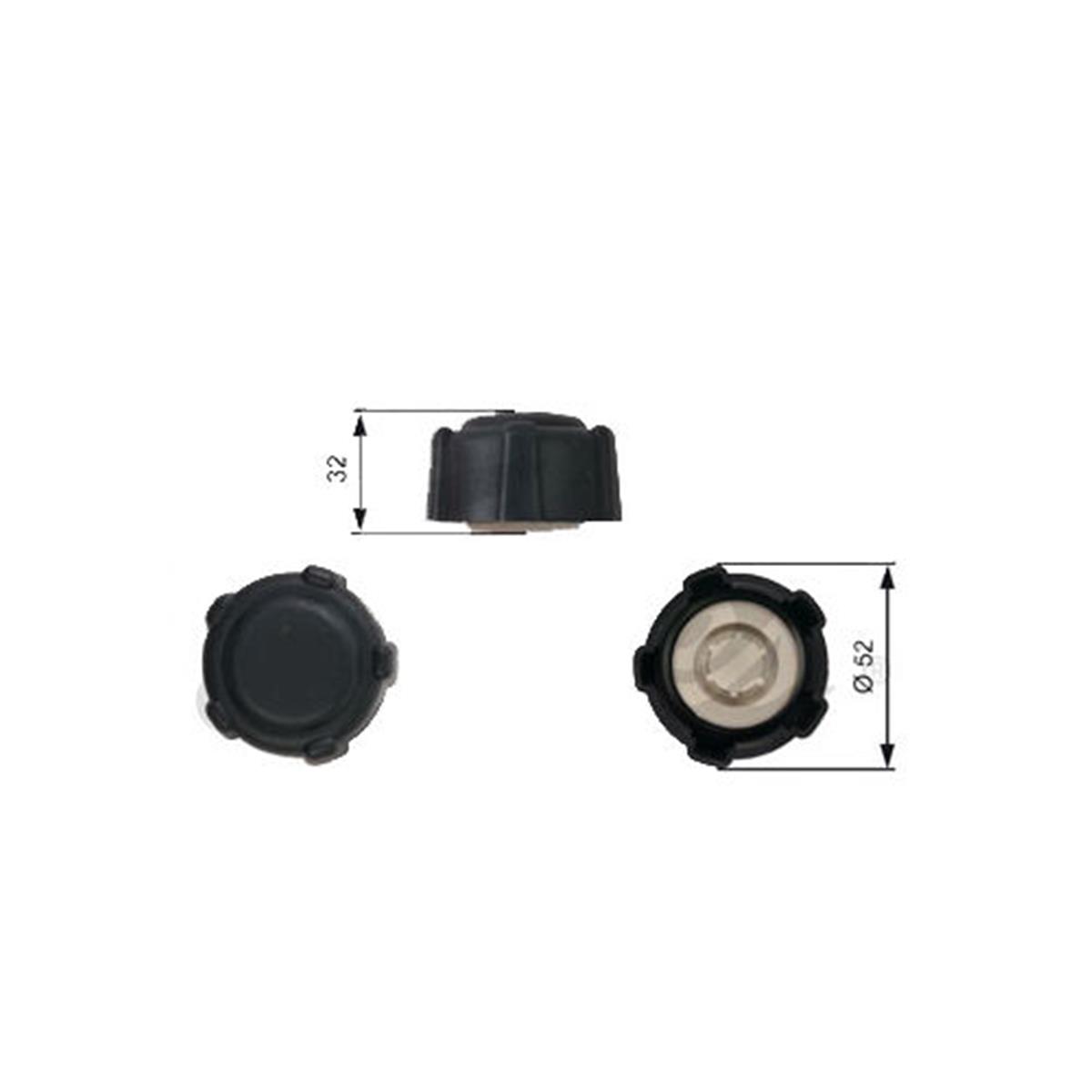 Genleşme Depo Kapağı Clio Symbol-Kango-Megane Iı-Iıı-Fluence-Master