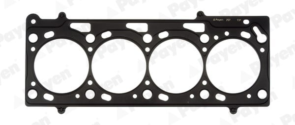 VW Skoda Seat Golf 4 Bora A3 Toledo Silindir Kapak Contası PAYEN