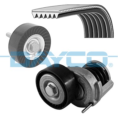 Volkswagen Golf 5 Alternatör Gergi Rulmanı DAYCO