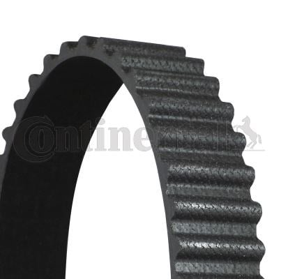 Hyundai H100 Grace Balans Triger Kayışı CONTITECH