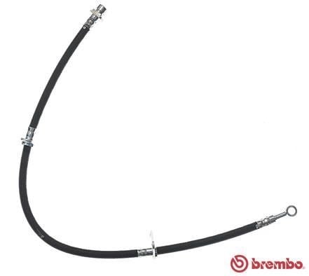 Honda Accord IV Ön Fren Hortumu BREMBO