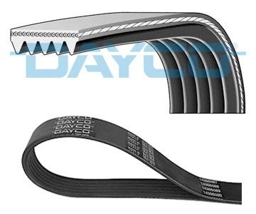 Subaru Impreza Kanallı Kayış DAYCO