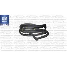 Opel Insignia Ön Sağ Kapı Cam Fitili Komple GM
