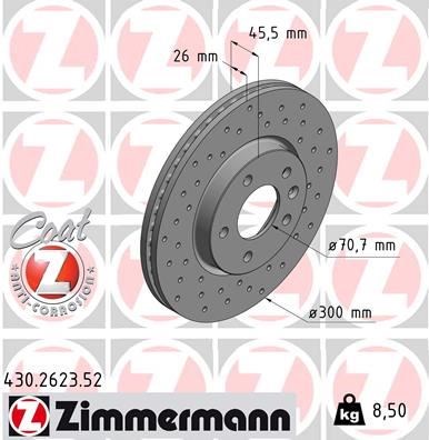 Opel Insignia B Ön Fren Diski Havalı Delikli 300mm 16 İnç ZIMMERMANN