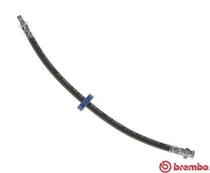 Citroen Jumper Fren Hortumu BREMBO