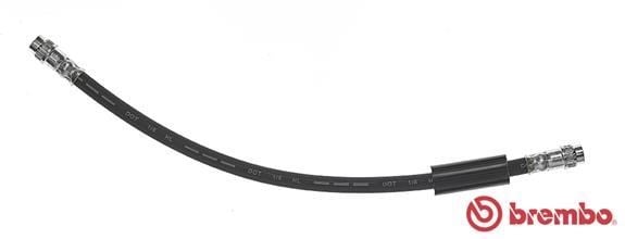 Citroen Jumpy Fren Hortumu BREMBO