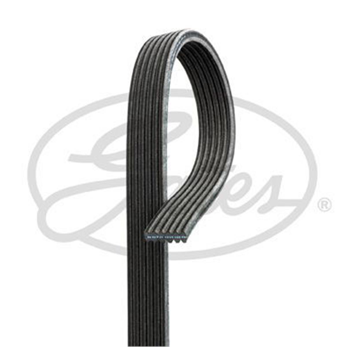 Kanallı Kayış Ford Mustang Nıssan Sentra Renault Sport Spıder 2.0 16V 95-99 6835