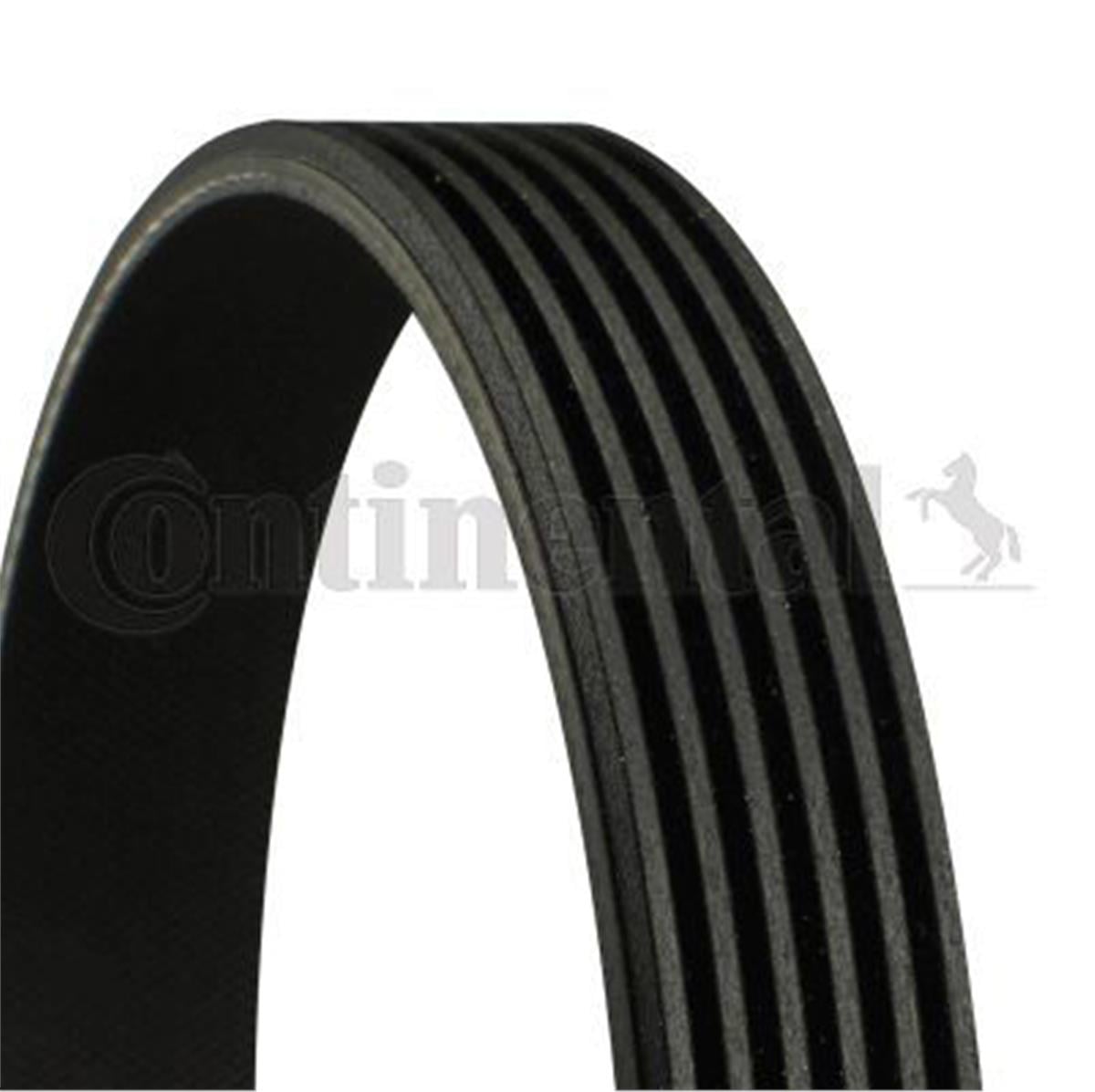 Kanallı Kayış Vw T4 2.4D 10V 90-02 Mercedes Ford Focus 98-05 Chrysler Daewoo Dod