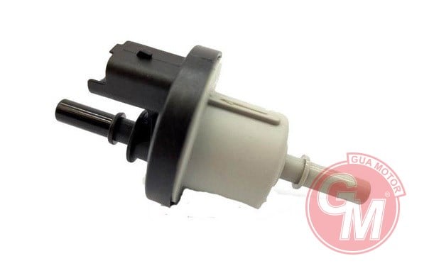 Renault Kangoo 2 Megane 2 Scenic 2 Logan Duster Twingo Laguna Dokker... GUA