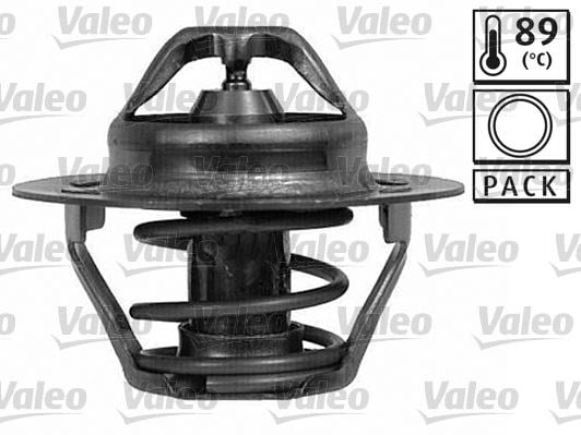 Renault Kangoo Megane Laguna Peugeot 106 306 405 Termostat 89C VALEO