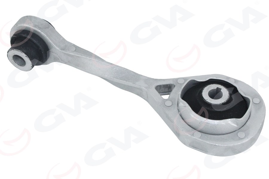 Renault Kangoo Motor Takozu Burgulu GVA