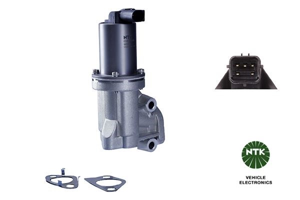 Kia EGR Valfi NGK