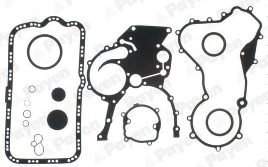 Renault Laguna Trafic Master Motor Takım Conta PAYEN