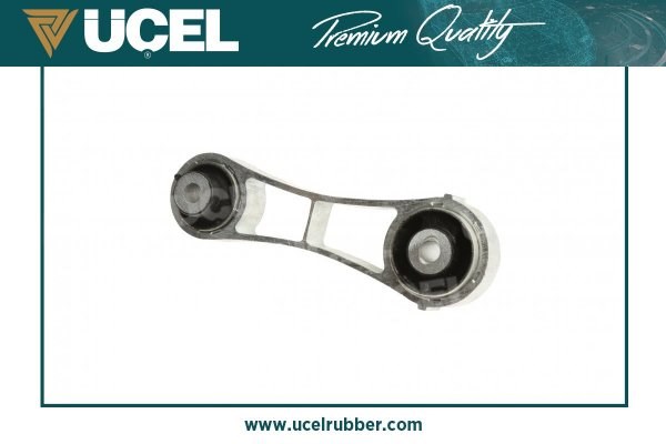 Renault Laguna 1 Motor Takozu UCEL