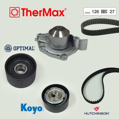 Renault Laguna II Devirdaimli Eksantrik Gergi Kiti THERMAX