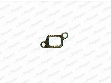 Rover Manifolt Contası PAYEN