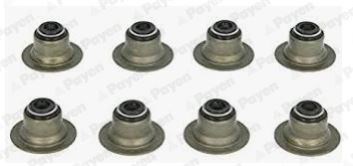 Rover 200 220GSI 220T 420 620 820 Discovery 2.0 Subap Lastiği Set PAYEN