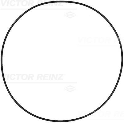 Man Keçe Halkası V.REINZ