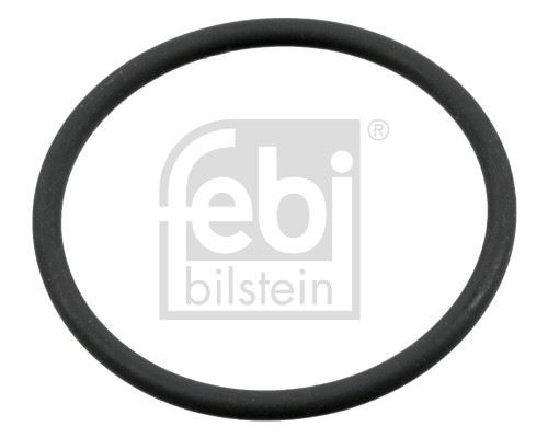 Man Keçe FEBI