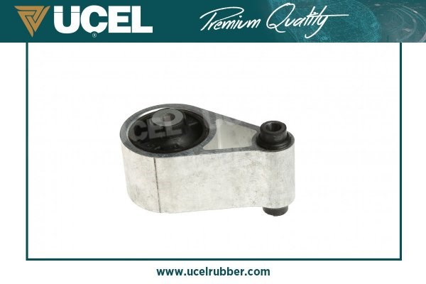 Renault Master 1 Arka Motor Takozu UCEL