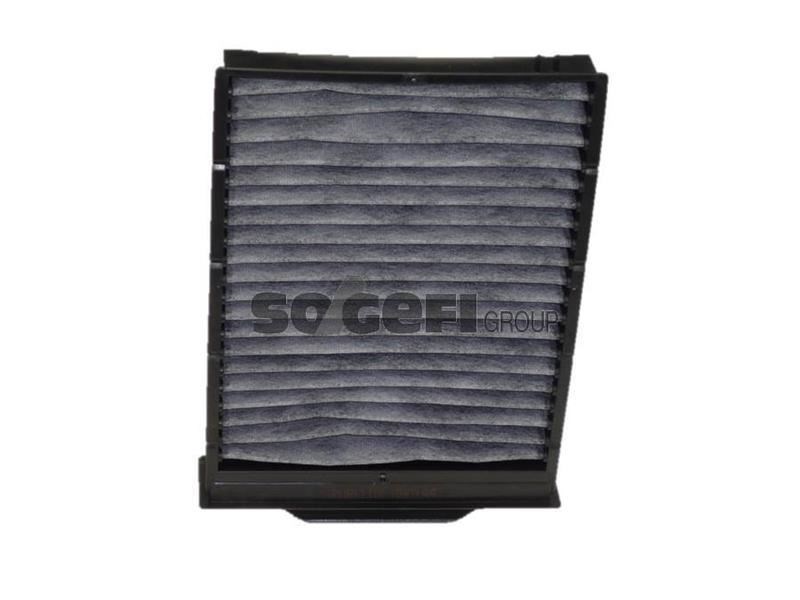 Renault Megane II Scenic II Polen Filtresi PURFLUX