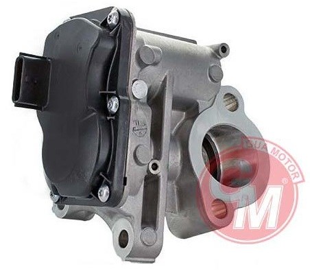 Renault Egr Valfi GUA