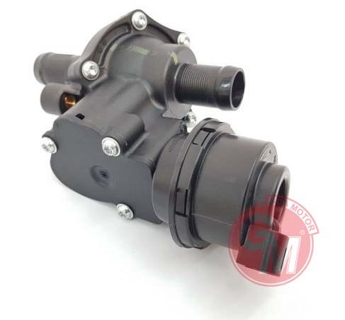 Renault Megane IV Termostat Komple GUA