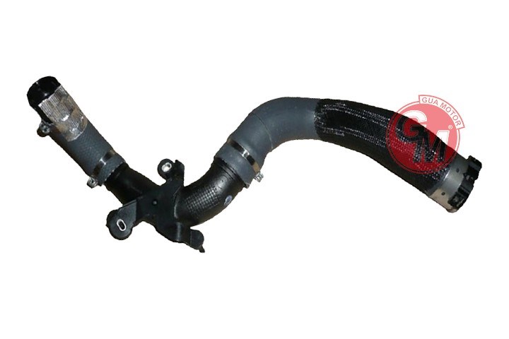 Renault Megane IV Turbo Hortumu Komple GUA
