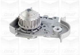 Renault Megane R19 Clio Symbol Logan Sandero Nissan Qashqai Devirdaim... GRAF