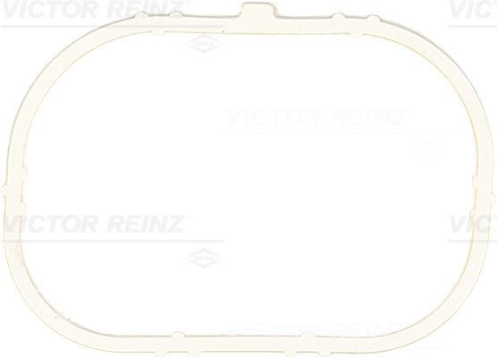 Renault Megane Clio Laguna Dacia Logan Emme Manifold Contası V.REINZ