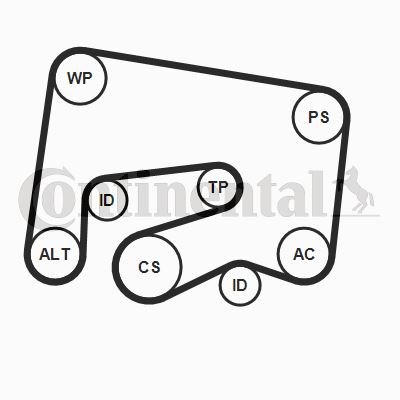 Mercedes W204 Kayış Gergi Rulmanı Kütüklü CONTITECH
