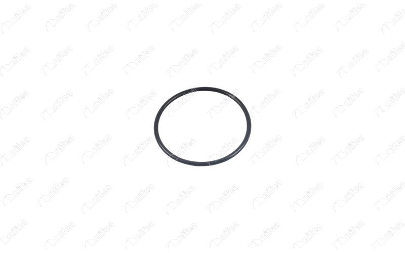 Mercedes Emme Manifold Contası OM651 NIFEA
